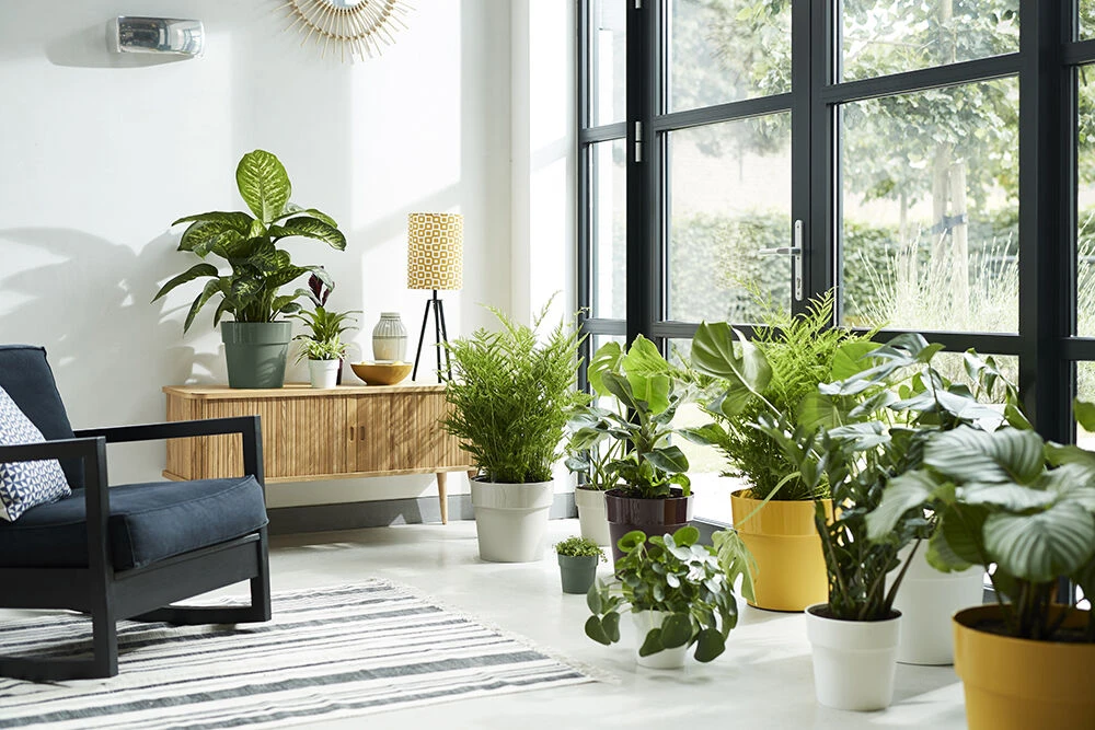 Bloempot Elho B.for Original Rond 30cm - Warm Grijs - Afbeelding 3