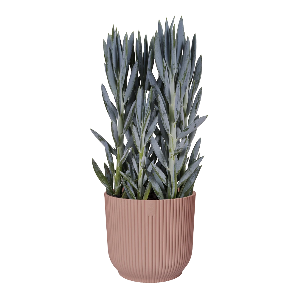 Bloempot Elho Vibes Fold Rond Wielen - D35 X H32cm - Delicaat Roze - Afbeelding 3