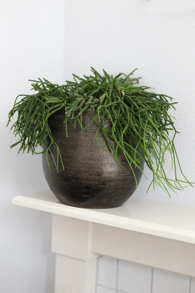 Bloempot Tokio - D20 X H18cm - Goud - Afbeelding 2