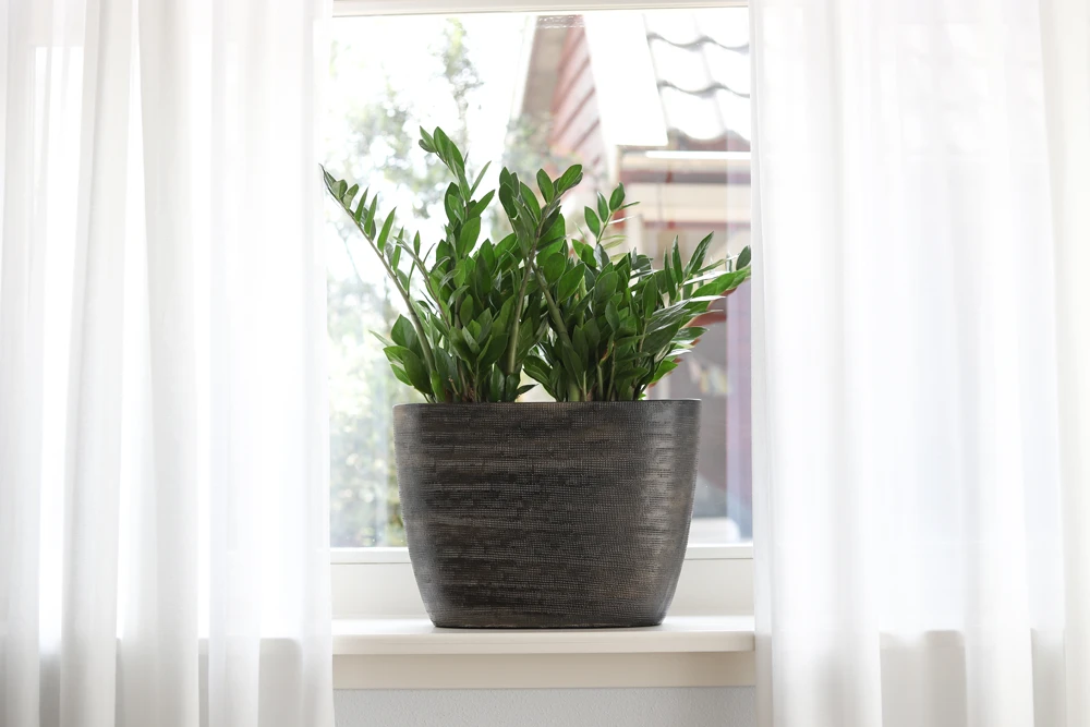 Bloempot Tokio Ovaal - L33 X B16 X H26cm - Goud - Afbeelding 2