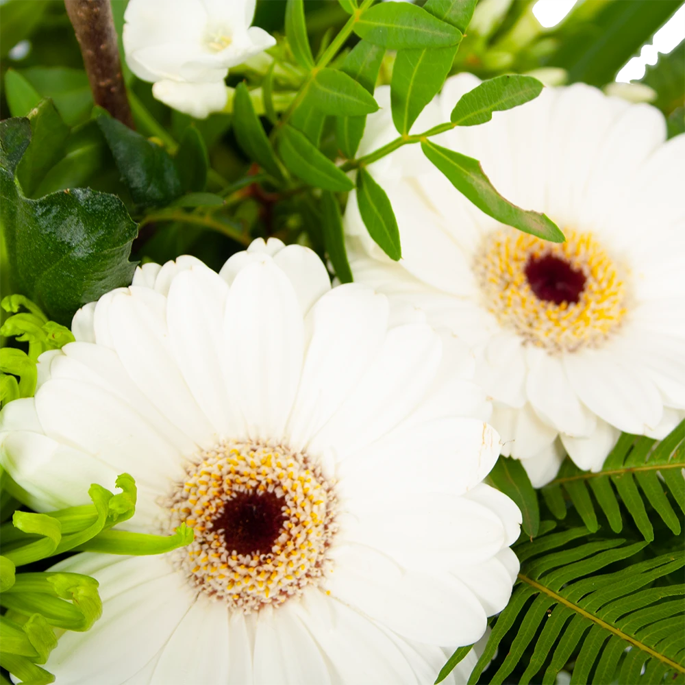 Boeket Liefdevolle Winter Middel - Afbeelding 2