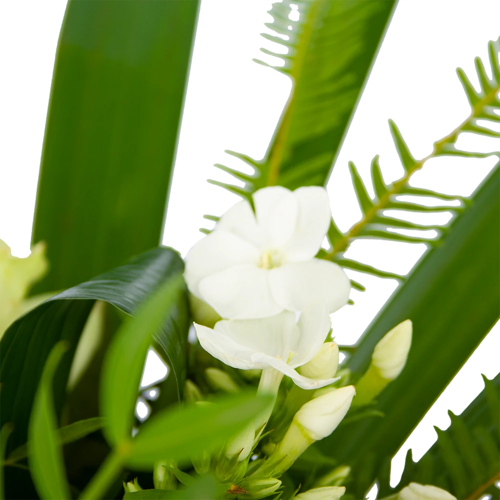 Boeket Liefdevolle Winter Middel - Afbeelding 3