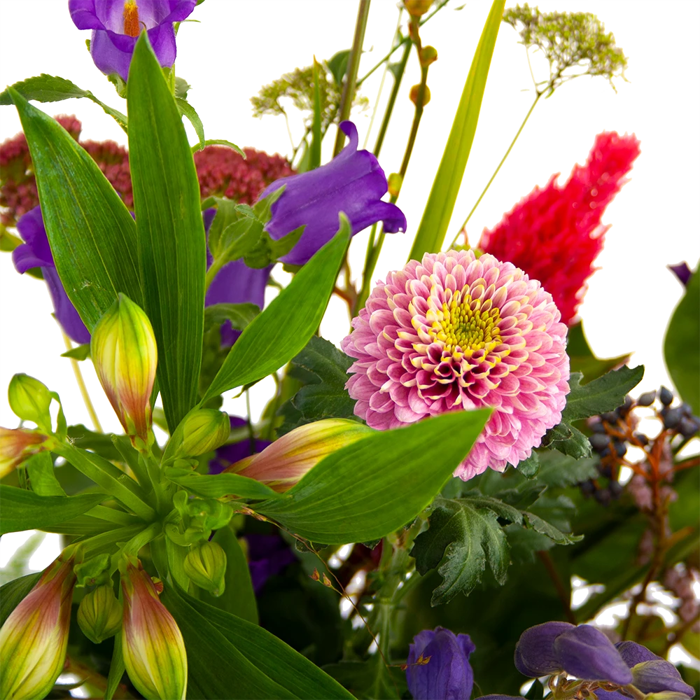 Boeket Paarse Passie Middel - Afbeelding 4