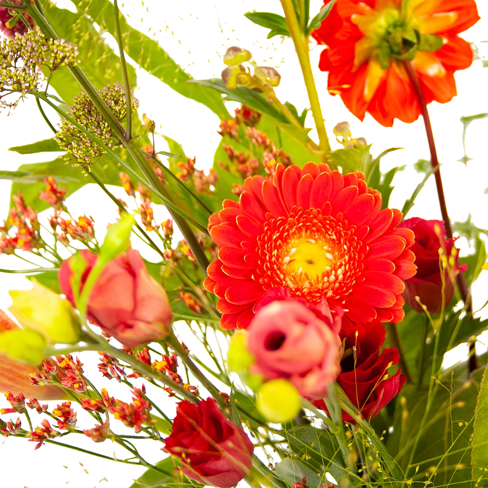 Boeket Plukgeluk Groot - Afbeelding 3