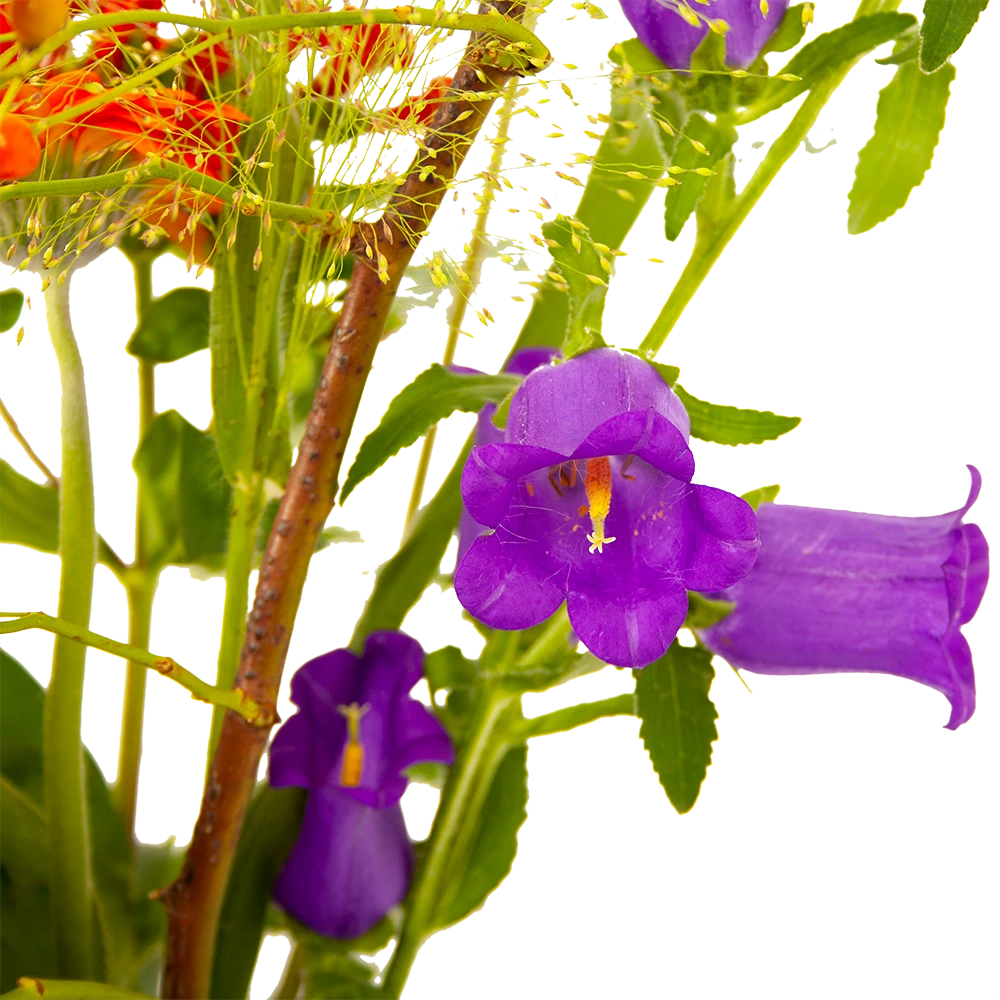 Boeket Plukgeluk Groot - Afbeelding 4