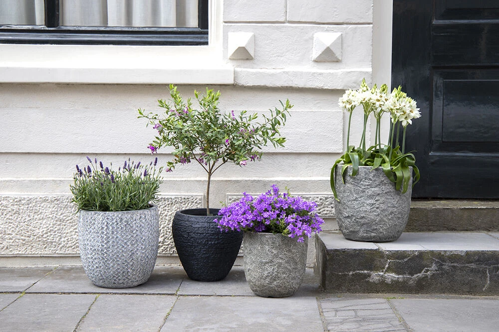 Bloempot Colorado Egg - D39 X H38cm - Grijs - Afbeelding 3