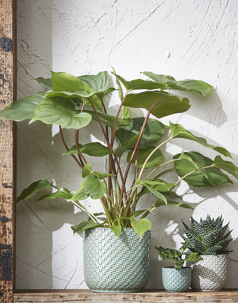 Bloempot Daan - D21.5 X H20.5cm - Wit - Afbeelding 2