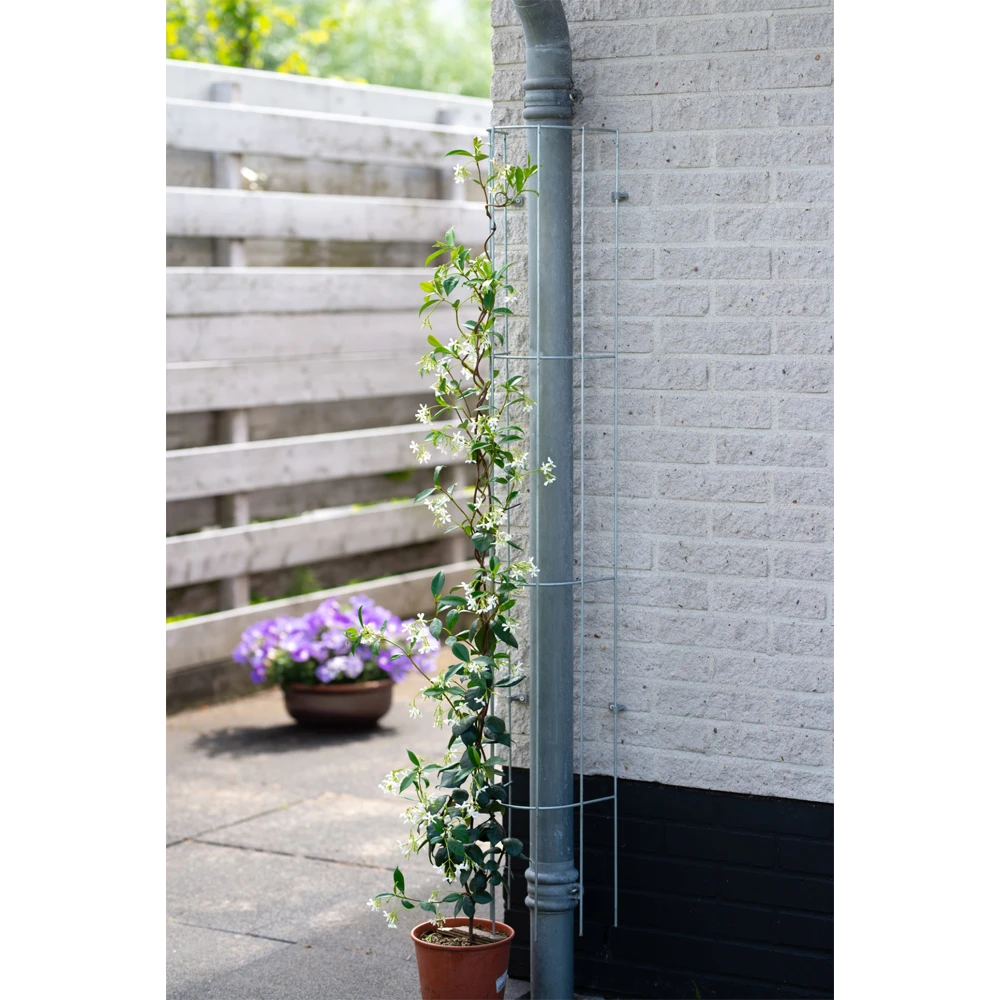 Nature - Metalen Geplastificeerd Regenpijpklimrek Groen H145cm - Afbeelding 2