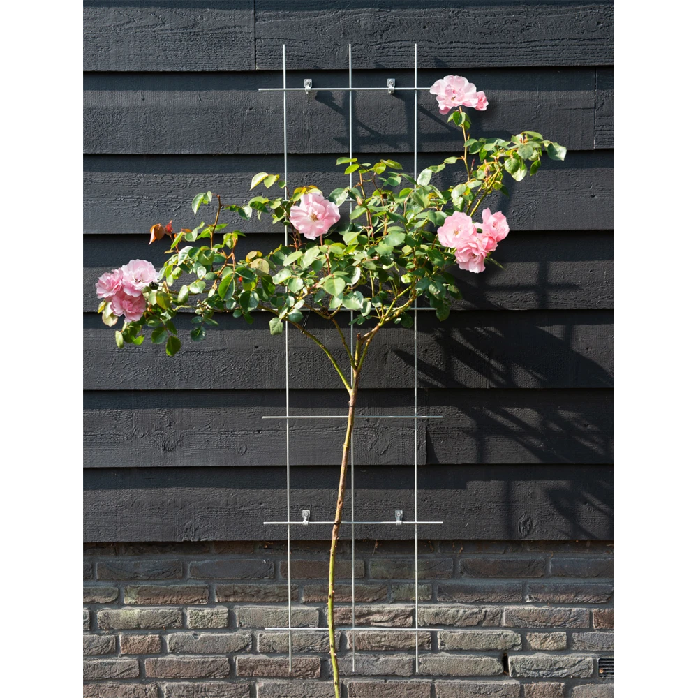 Nature - Metalen Klimrek Geplastificeerd Groen H145x42,5cm - Afbeelding 2