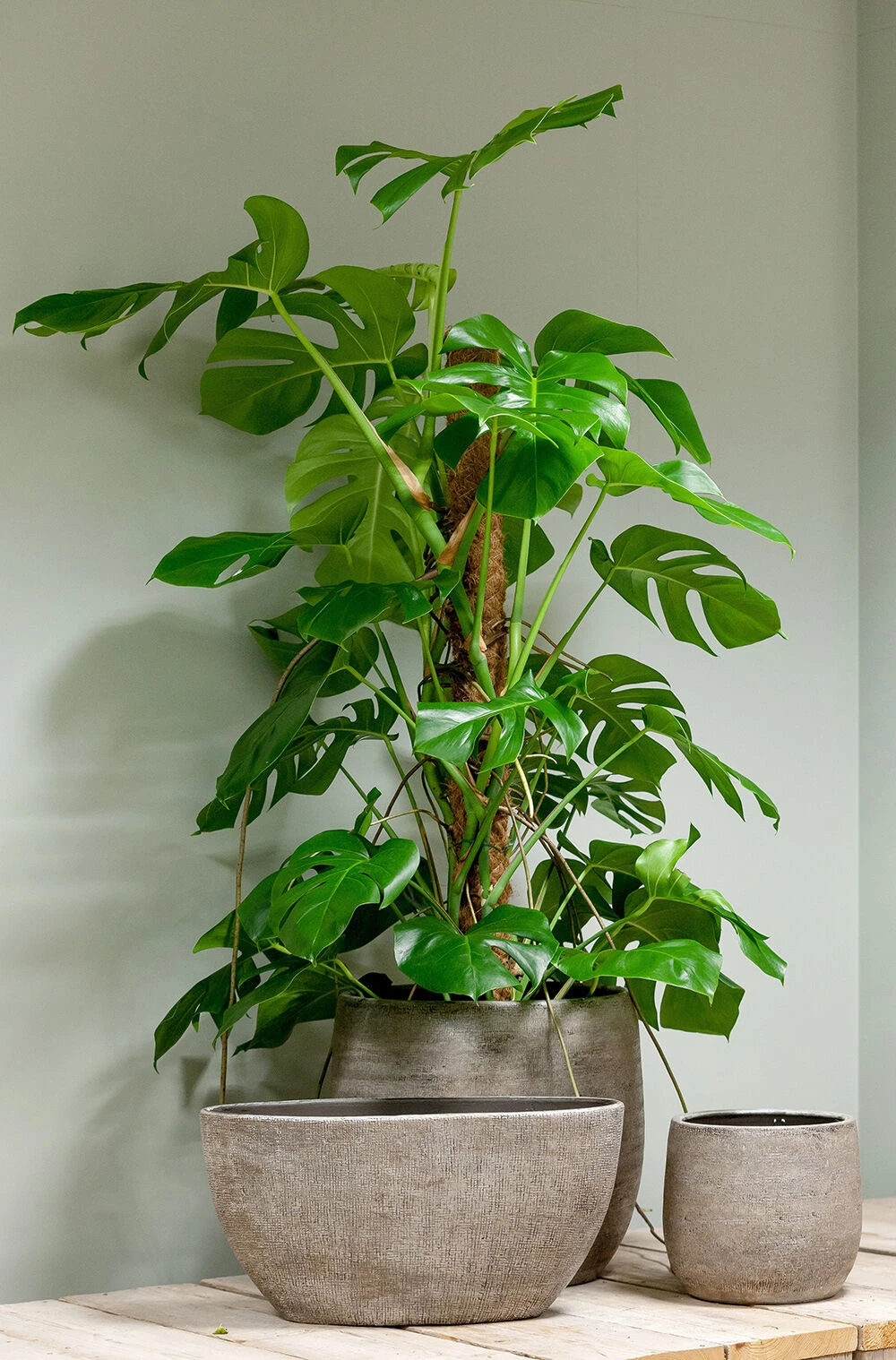 Bloempot Mira - D39 X H36cm - Wit - Afbeelding 2