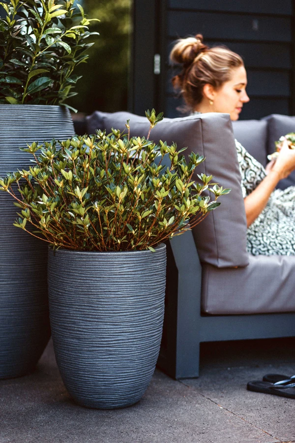 Capi Bloempot Nature Elegant Rib NL - D34 X H46cm - Donkergrijs - Afbeelding 2