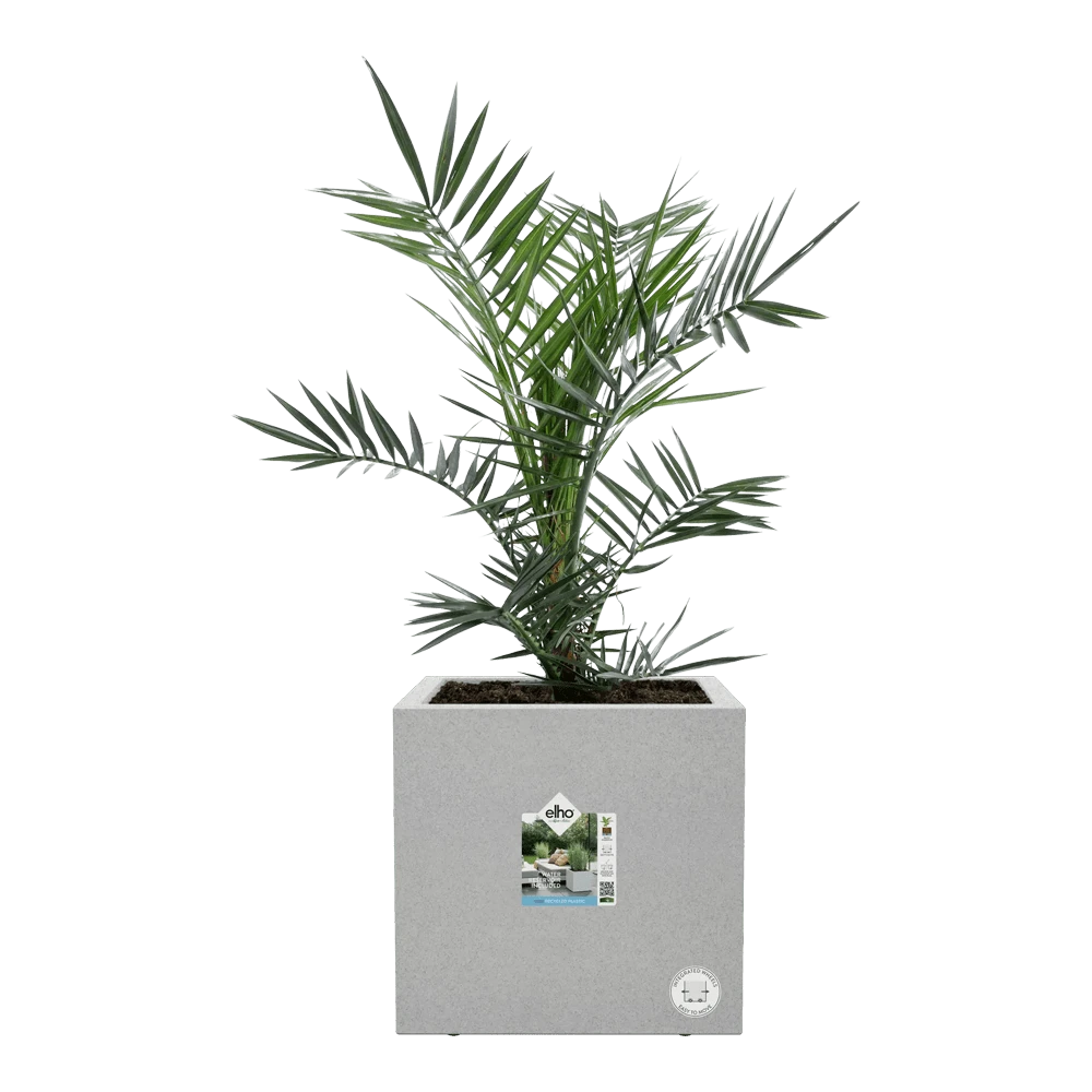 Elho Vivo Next Vierkant Wielen 40cm - Warm Grijs - Afbeelding 6